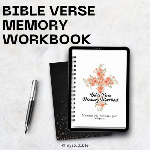 Bible Verse Memorization Tool