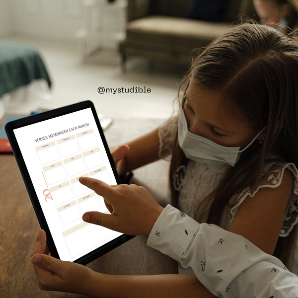 Bible Verse Memorization Tool